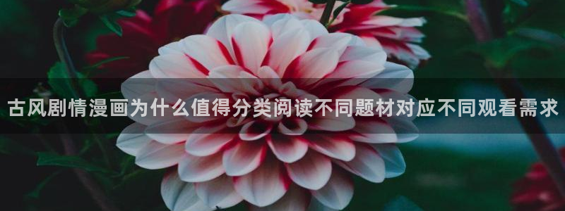 漫漫漫画漫画分类